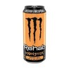 monste rehab